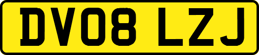 DV08LZJ