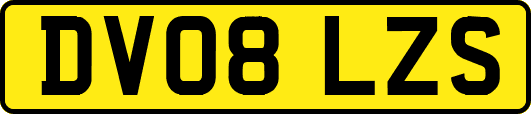 DV08LZS