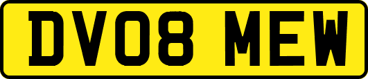 DV08MEW
