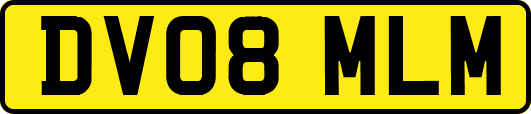 DV08MLM