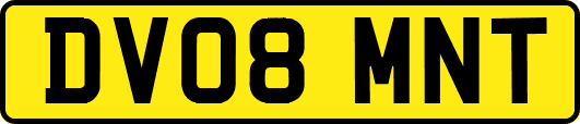 DV08MNT