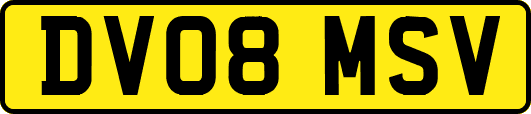 DV08MSV