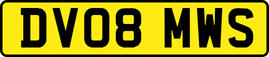 DV08MWS