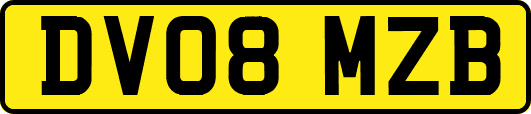 DV08MZB