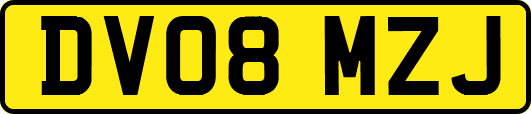 DV08MZJ