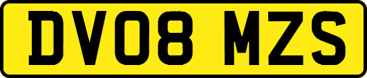 DV08MZS