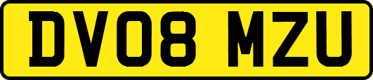 DV08MZU