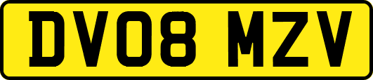 DV08MZV