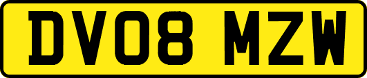 DV08MZW