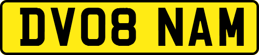 DV08NAM