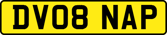 DV08NAP