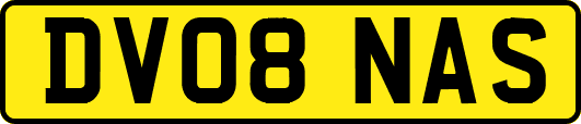 DV08NAS