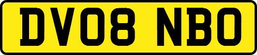 DV08NBO