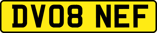 DV08NEF