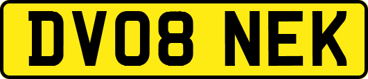 DV08NEK