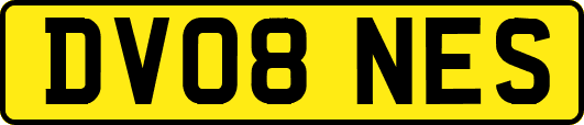 DV08NES