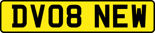 DV08NEW
