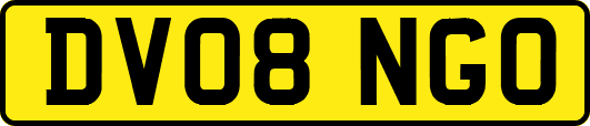 DV08NGO