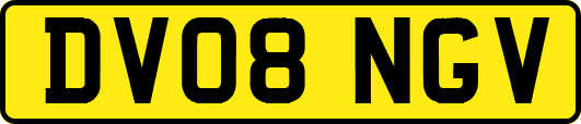 DV08NGV