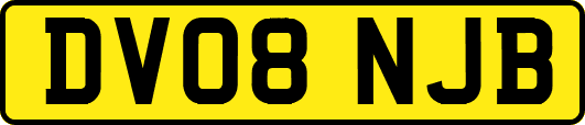 DV08NJB