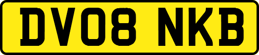 DV08NKB