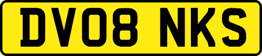 DV08NKS