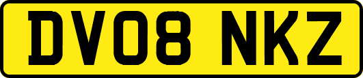 DV08NKZ