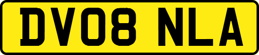 DV08NLA