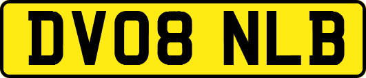 DV08NLB
