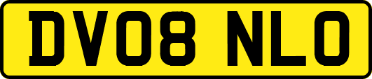 DV08NLO