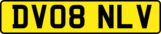 DV08NLV