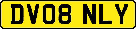 DV08NLY