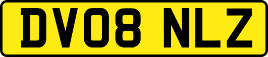 DV08NLZ