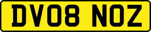 DV08NOZ