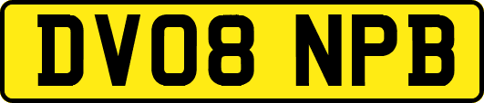 DV08NPB