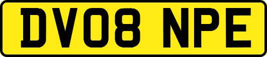 DV08NPE