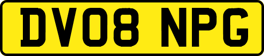 DV08NPG
