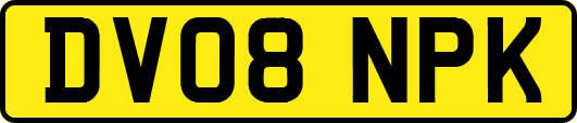 DV08NPK