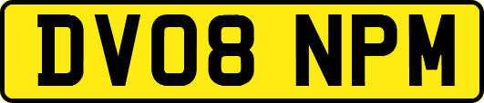 DV08NPM