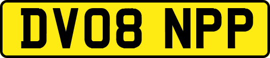 DV08NPP