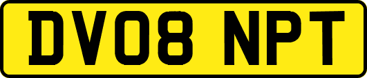 DV08NPT
