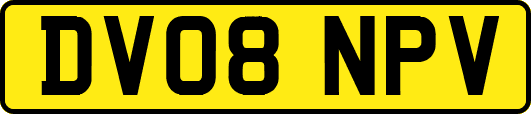DV08NPV
