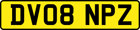 DV08NPZ