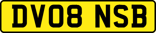 DV08NSB