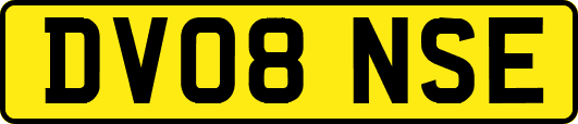 DV08NSE