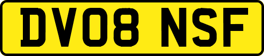 DV08NSF