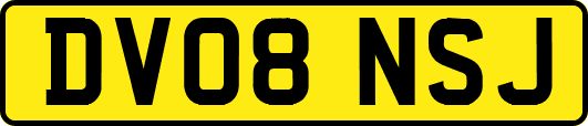 DV08NSJ