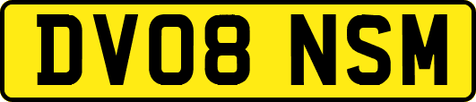 DV08NSM