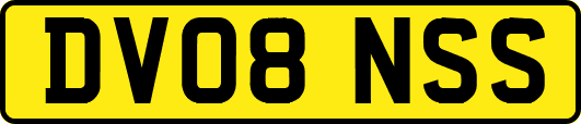 DV08NSS