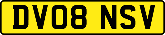 DV08NSV